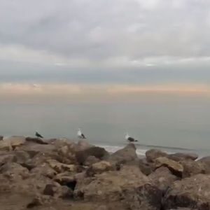 Meet your Posher, Vada